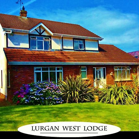 Lurgan West Lodge Randalstown Ngoại thất bức ảnh
